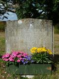 image of grave number 113042